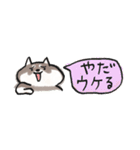 【黒柴版】柴ちん12 超小さい黒柴ちん（個別スタンプ：14）