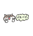 【黒柴版】柴ちん12 超小さい黒柴ちん（個別スタンプ：19）