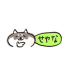 【黒柴版】柴ちん12 超小さい黒柴ちん（個別スタンプ：23）