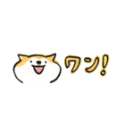 【赤柴版】柴ちん12 超小さい（個別スタンプ：16）
