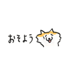 【赤柴版】柴ちん12 超小さい（個別スタンプ：33）