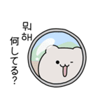 チーズゴム (日本語/韓国語)（個別スタンプ：1）