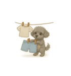 グレーのティーカッププードル（個別スタンプ：25）