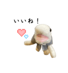 もケ（個別スタンプ：4）
