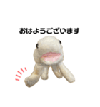 もケ（個別スタンプ：5）