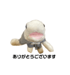 もケ（個別スタンプ：7）