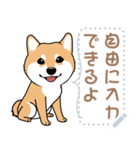 12種のワンちゃんメッセージスタンプ（個別スタンプ：1）