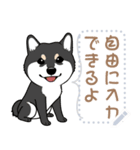 12種のワンちゃんメッセージスタンプ（個別スタンプ：3）