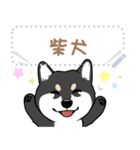 12種のワンちゃんメッセージスタンプ（個別スタンプ：4）