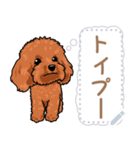 12種のワンちゃんメッセージスタンプ（個別スタンプ：5）