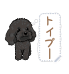 12種のワンちゃんメッセージスタンプ（個別スタンプ：7）