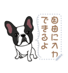 12種のワンちゃんメッセージスタンプ（個別スタンプ：9）