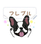 12種のワンちゃんメッセージスタンプ（個別スタンプ：10）