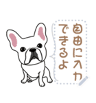 12種のワンちゃんメッセージスタンプ（個別スタンプ：11）