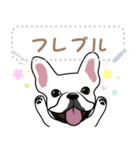 12種のワンちゃんメッセージスタンプ（個別スタンプ：12）