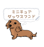12種のワンちゃんメッセージスタンプ（個別スタンプ：15）