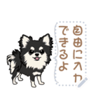 12種のワンちゃんメッセージスタンプ（個別スタンプ：17）