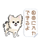 12種のワンちゃんメッセージスタンプ（個別スタンプ：19）
