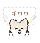12種のワンちゃんメッセージスタンプ（個別スタンプ：20）
