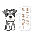 12種のワンちゃんメッセージスタンプ（個別スタンプ：21）