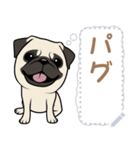 12種のワンちゃんメッセージスタンプ（個別スタンプ：23）