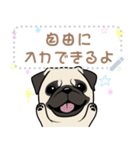 12種のワンちゃんメッセージスタンプ（個別スタンプ：24）