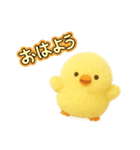 ふわふわ ヒヨコとニワトリ 日常（個別スタンプ：1）