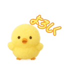 ふわふわ ヒヨコとニワトリ 日常（個別スタンプ：13）