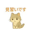 野良猫海賊団 日常・普段使いにも最適！（個別スタンプ：17）
