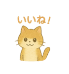 野良猫海賊団 日常・普段使いにも最適！（個別スタンプ：23）