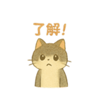 野良猫海賊団 日常・普段使いにも最適！（個別スタンプ：25）