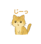 野良猫海賊団 日常・普段使いにも最適！（個別スタンプ：33）