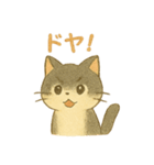 野良猫海賊団 日常・普段使いにも最適！（個別スタンプ：37）