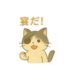 野良猫海賊団 日常・普段使いにも最適！（個別スタンプ：40）