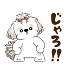 シーズー犬 2025 「広島弁」（個別スタンプ：2）