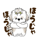 シーズー犬 2025 「広島弁」（個別スタンプ：4）