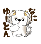 シーズー犬 2025 「広島弁」（個別スタンプ：5）