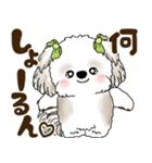 シーズー犬 2025 「広島弁」（個別スタンプ：6）