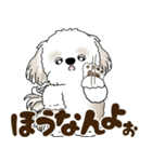 シーズー犬 2025 「広島弁」（個別スタンプ：8）