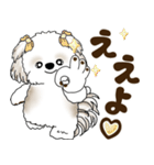 シーズー犬 2025 「広島弁」（個別スタンプ：9）