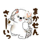 シーズー犬 2025 「広島弁」（個別スタンプ：10）