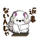 シーズー犬 2025 「広島弁」（個別スタンプ：11）