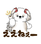 シーズー犬 2025 「広島弁」（個別スタンプ：13）