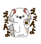 シーズー犬 2025 「広島弁」（個別スタンプ：14）
