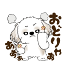 シーズー犬 2025 「広島弁」（個別スタンプ：16）