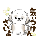 シーズー犬 2025 「広島弁」（個別スタンプ：17）