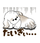 シーズー犬 2025 「広島弁」（個別スタンプ：19）