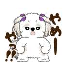 シーズー犬 2025 「広島弁」（個別スタンプ：20）