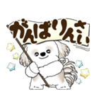 シーズー犬 2025 「広島弁」（個別スタンプ：21）