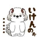 シーズー犬 2025 「広島弁」（個別スタンプ：24）
